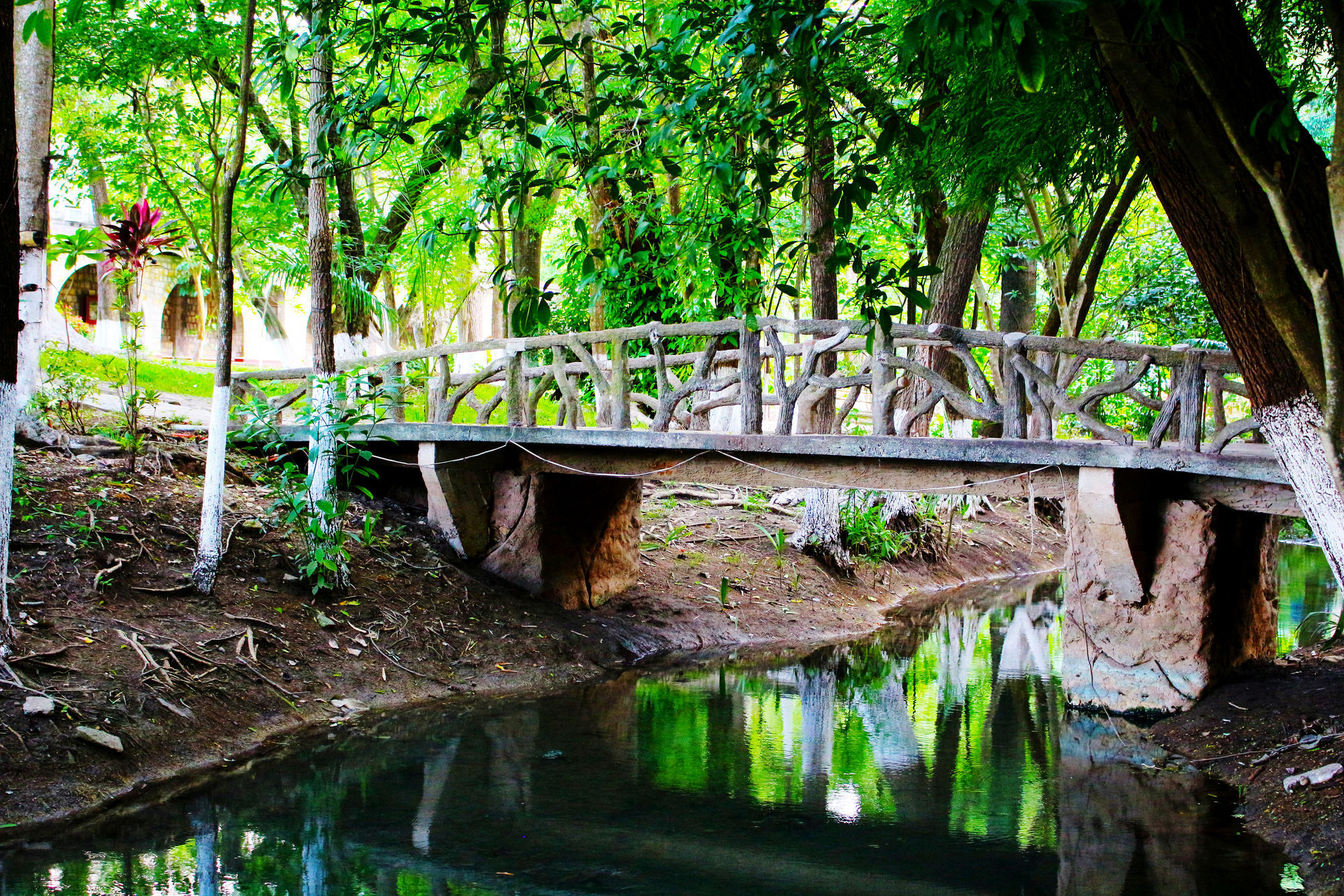Hotel Spa Taninul Los Puentes ภายนอก รูปภาพ